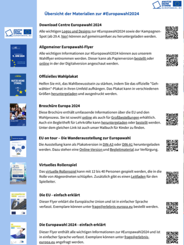 overview-publications-european-elections24.png